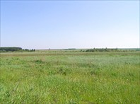 Вид на место где располагалась д. Орловск.